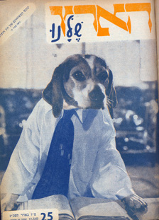 1963-02.jpg